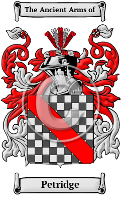 Petridge Family Crest Download (JPG) Heritage Series - 300 DPI