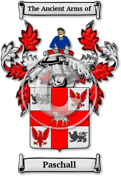 Paschall Family Crest Download (jpg) Legacy Series - 150 DPI