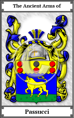 Passucci Family Crest Download (JPG) Book Plated - 600 DPI