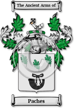 Paches Family Crest Download (jpg) Legacy Series - 150 DPI
