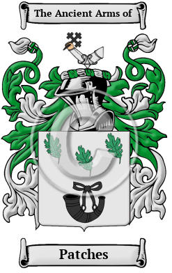 Patches Family Crest Download (jpg) Heritage Series - 150 DPI