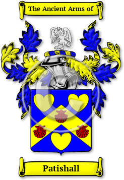 Patishall Family Crest Download (jpg) Legacy Series - 150 DPI