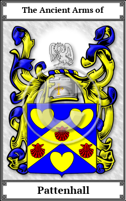 Pattenhall Family Crest Download (JPG) Book Plated - 600 DPI