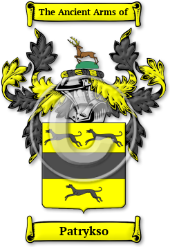Patrykso Family Crest Download (jpg) Legacy Series - 150 DPI