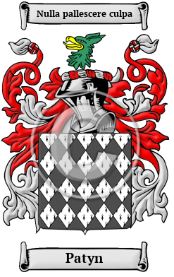 Patyn Family Crest Download (JPG) Heritage Series - 300 DPI