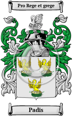 Padis Family Crest/Coat of Arms