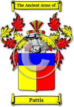 Pattis Family Crest Download (jpg) Legacy Series - 150 DPI