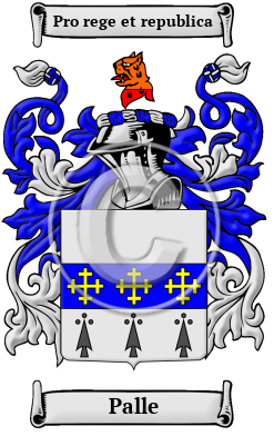 Palle Family Crest Download (JPG) Heritage Series - 600 DPI