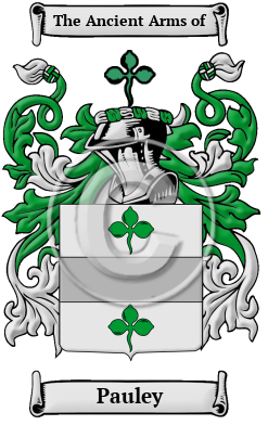 Pauley Family Crest/Coat of Arms