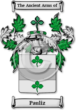 Pauliz Family Crest Download (JPG) Legacy Series - 600 DPI