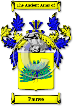 Pauwe Family Crest Download (JPG) Legacy Series - 600 DPI