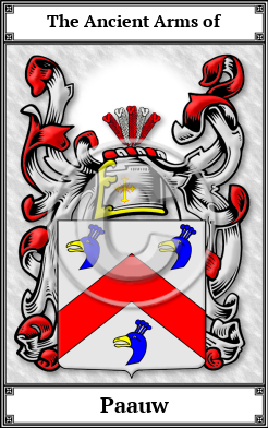 Paauw Family Crest Download (JPG) Book Plated - 600 DPI