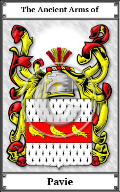 Pavie Family Crest Download (JPG)  Book Plated - 150 DPI