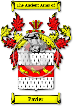 Pavier Family Crest Download (JPG) Legacy Series - 600 DPI