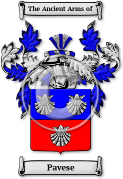 Pavese Family Crest Download (jpg) Legacy Series - 150 DPI