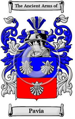 Pavia Family Crest/Coat of Arms