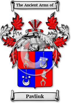 Pavliuk Family Crest Download (JPG) Legacy Series - 600 DPI