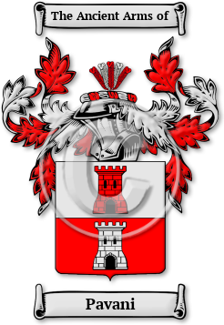 Pavani Family Crest Download (jpg) Legacy Series - 150 DPI