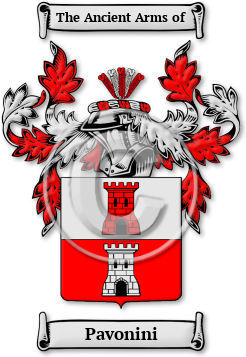 Pavonini Family Crest Download (jpg) Legacy Series - 150 DPI