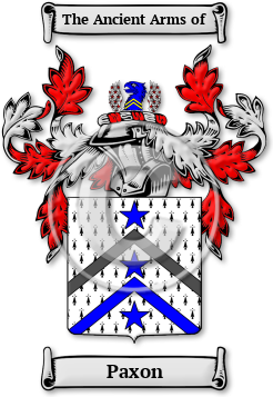 Paxon Family Crest Download (jpg) Legacy Series - 150 DPI