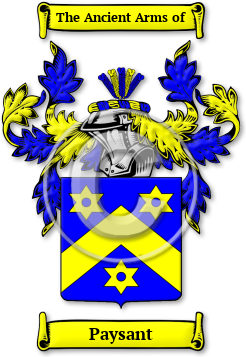 Paysant Family Crest Download (JPG) Legacy Series - 600 DPI