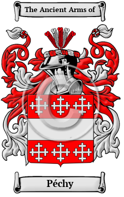 Péchy Family Crest/Coat of Arms