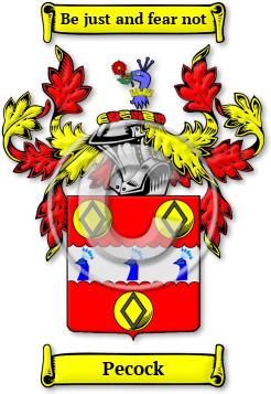 Pecock Family Crest Download (JPG) Legacy Series - 600 DPI