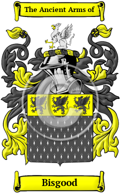 Bisgood Family Crest Download (JPG) Heritage Series - 600 DPI