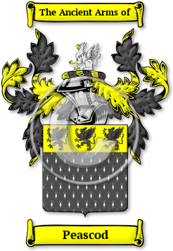 Peascod Family Crest Download (JPG) Legacy Series - 600 DPI