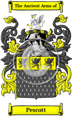 Pescott Family Crest Download (JPG) Heritage Series - 600 DPI