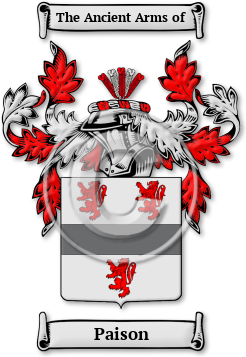 Paison Family Crest Download (jpg) Legacy Series - 150 DPI