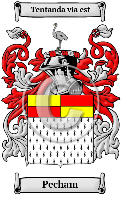 Pecham Family Crest/Coat of Arms