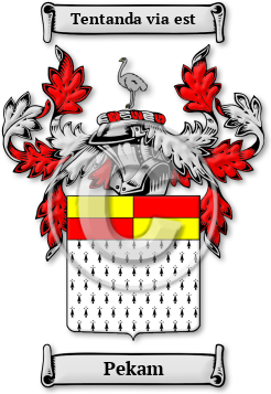 Pekam Family Crest Download (jpg) Legacy Series - 150 DPI