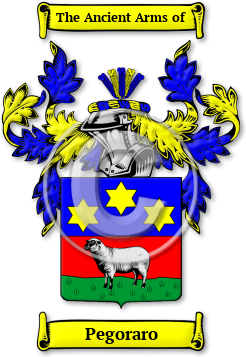 Pegoraro Family Crest Download (jpg) Legacy Series - 150 DPI