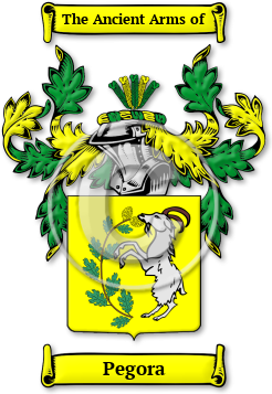 Pegora Family Crest Download (jpg) Legacy Series - 150 DPI