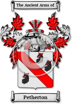 Petherton Family Crest Download (jpg) Legacy Series - 150 DPI