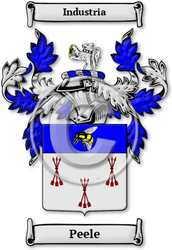 Peele Family Crest Download (JPG) Legacy Series - 300 DPI