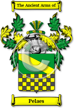 Pelaes Family Crest Download (jpg) Legacy Series - 150 DPI