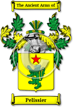 Pelissier Family Crest Download (jpg) Legacy Series - 150 DPI