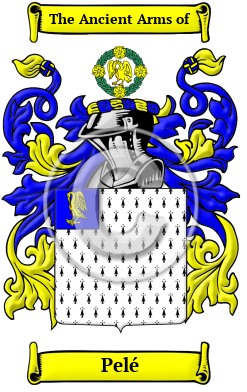 Pelé Family Crest/Coat of Arms
