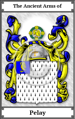 Pelay Family Crest Download (JPG)  Book Plated - 150 DPI