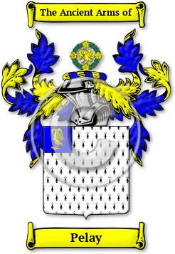 Pelay Family Crest Download (jpg) Legacy Series - 150 DPI