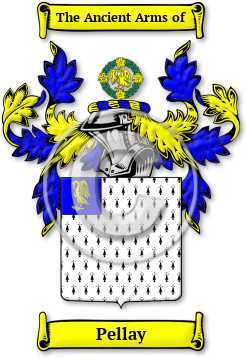 Pellay Family Crest Download (JPG) Legacy Series - 600 DPI