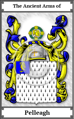 Pelleagh Family Crest Download (JPG) Book Plated - 600 DPI
