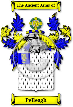 Pelleagh Family Crest Download (JPG) Legacy Series - 600 DPI