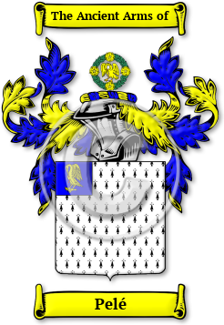 Pelé Family Crest Download (JPG) Legacy Series - 600 DPI