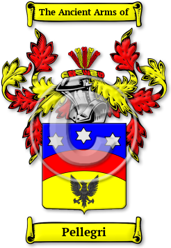 Pellegri Family Crest Download (jpg) Legacy Series - 150 DPI
