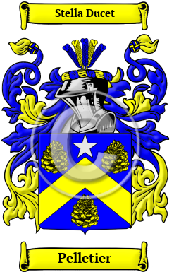 Pelletier Family Crest Download (JPG) Heritage Series - 600 DPI