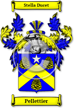 Pellettier Family Crest Download (jpg) Legacy Series - 150 DPI