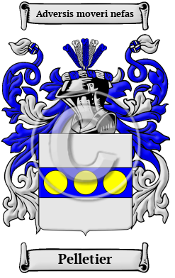 Pelletier Family Crest Download (JPG) Heritage Series - 600 DPI